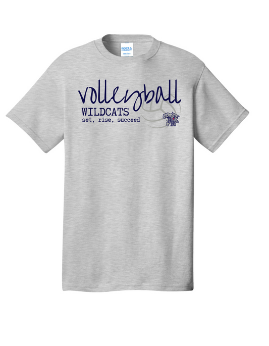 Ash Gray Volleyball Design 3 Tee