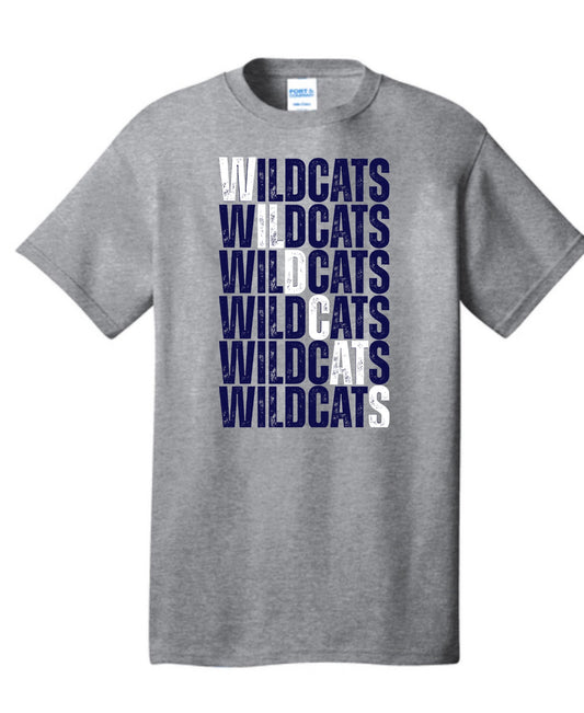 Youth-Adult Navy Unisex Port & Company Tee with Design 1